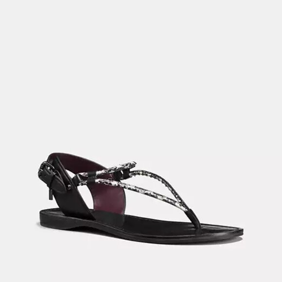Coach Clarkson Thong Sandal | Soft Snake-Embossed Leather | Black/White | Size 5 - Picture 1 of 9